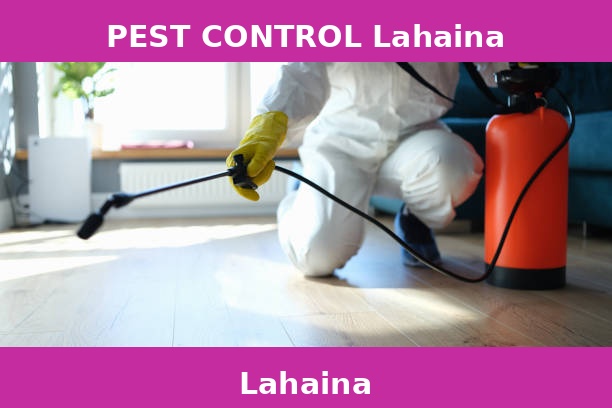 PEST CONTROL Lahaina